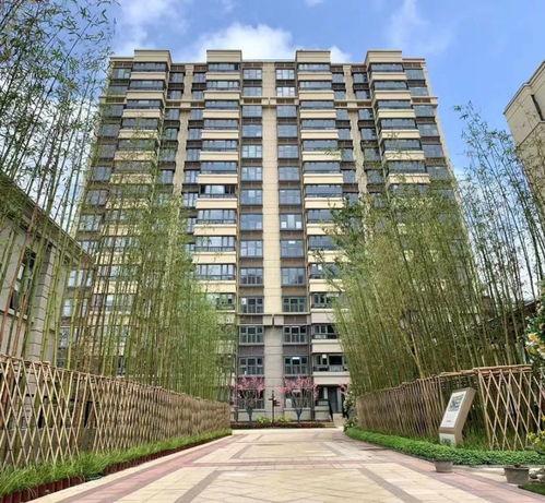 今天楼盘爆料最新消息,揭秘神秘项目即将亮相